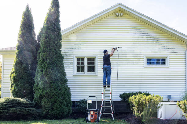 Animal Enclosure Cleaning in Sherrill, NY